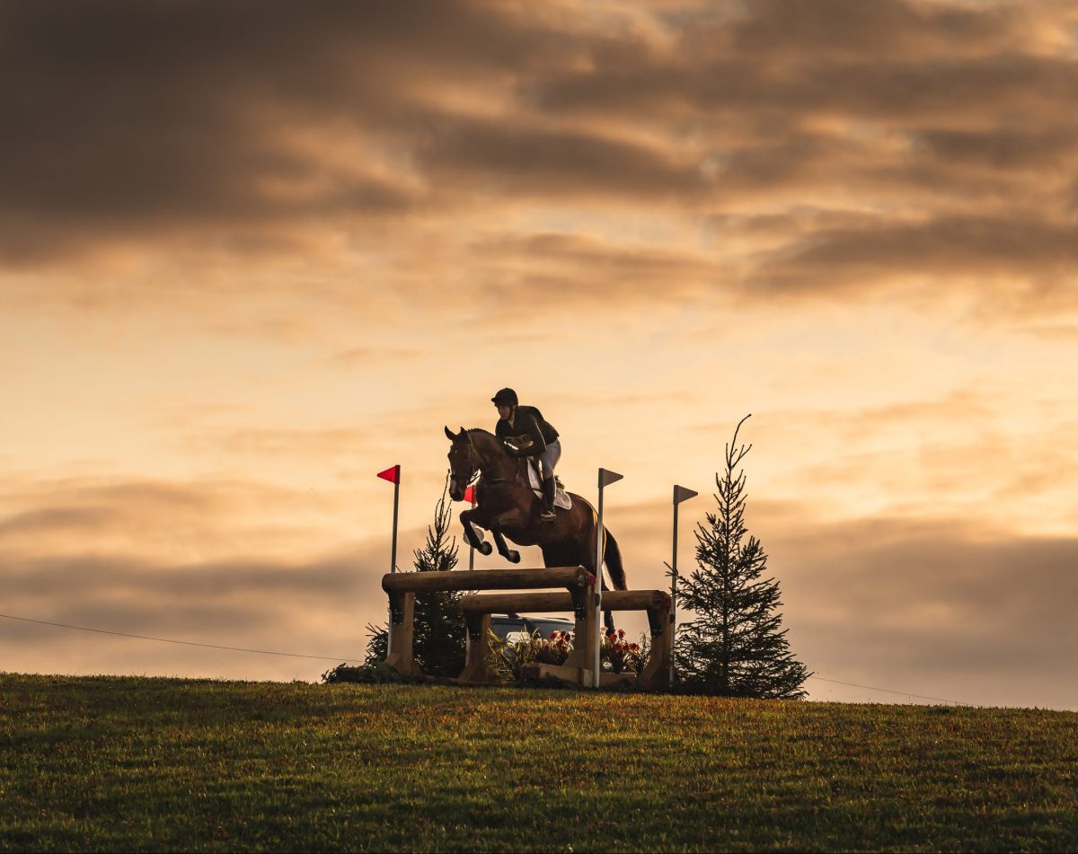 What's On Cornbury House Horse Trials