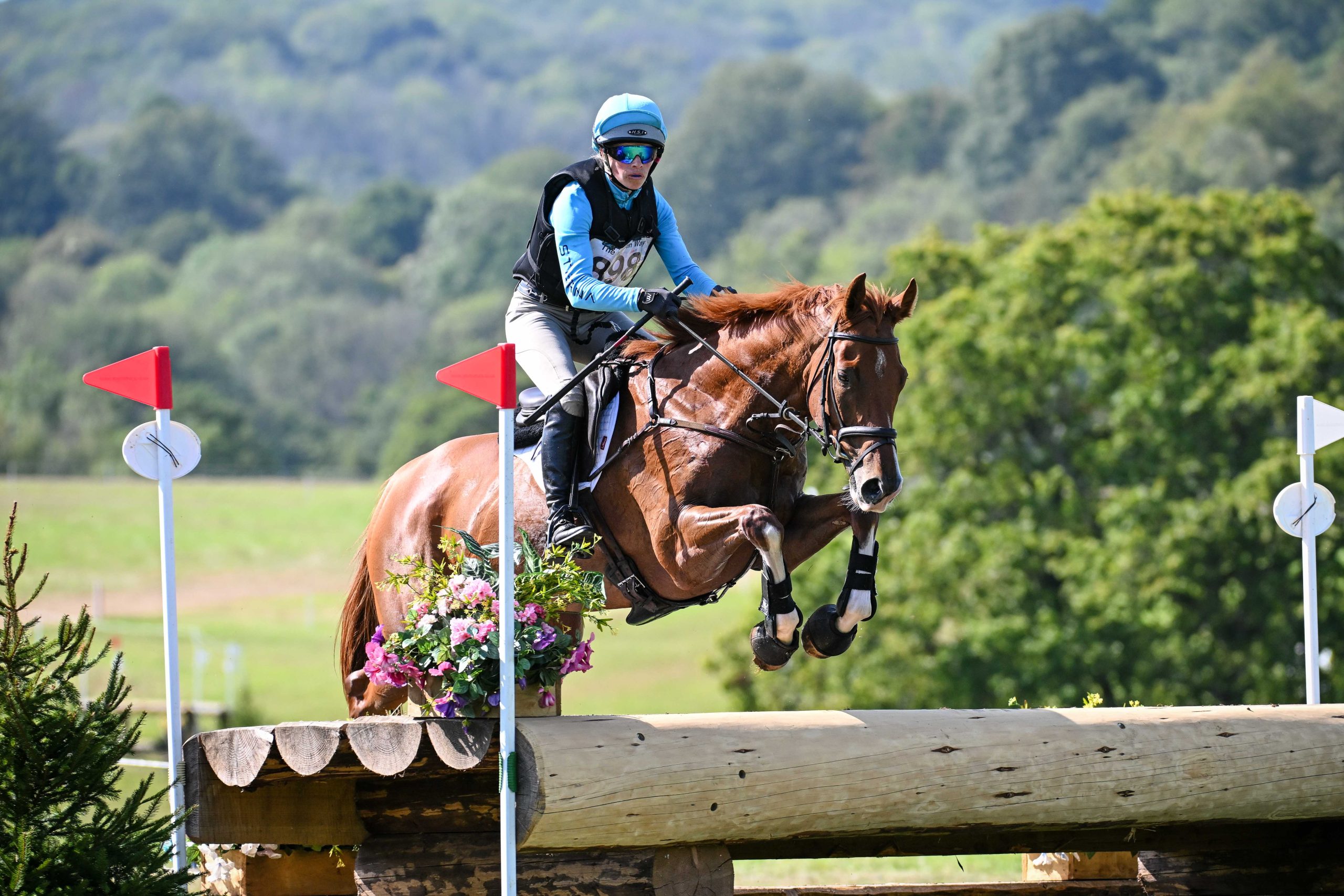 ENTRIES REVEALED FOR INAUGURAL ARENA RACING COMPANY RACEHORSE TO ...