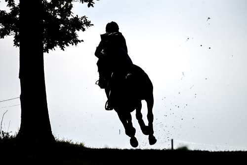 ORNBURY HOUSE INTERNATIONAL & YOUNG HORSE CHAMPIONSHIPS